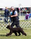 20171001-conf-0225