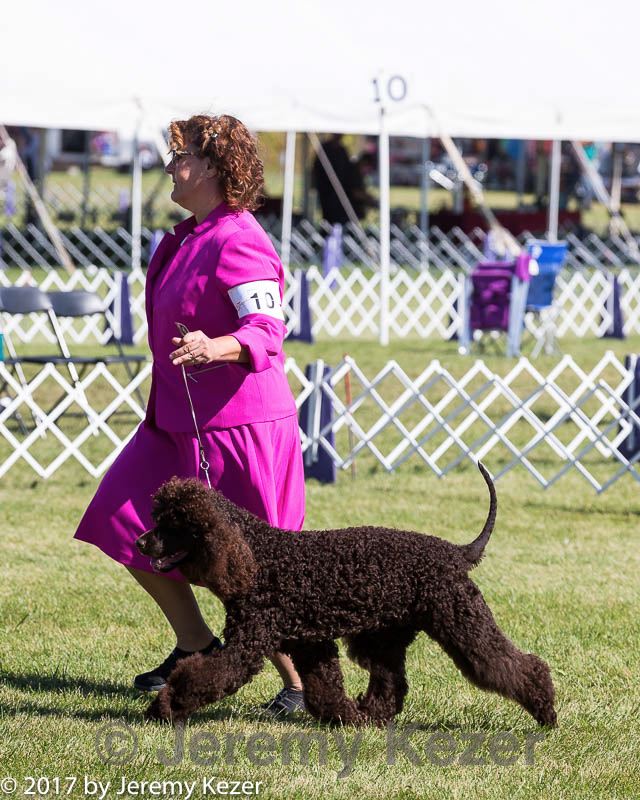 20171001-conf-0197.jpg