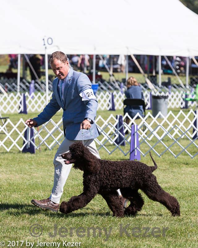 20171001-conf-0209.jpg