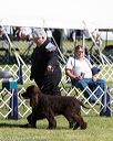 20171001-conf-0082