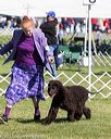 20171001-conf-0032