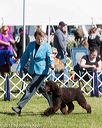 20171001-conf-0036