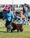 20171001-conf-0038