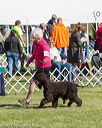 20171001-conf-0040