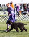 20171001-conf-0056