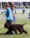 20171001-conf-0059
