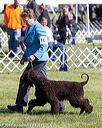 20171001-conf-0064