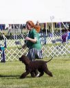 20171001-conf-0070