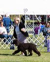 20171001-conf-0091
