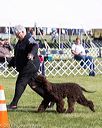 20171001-conf-0106