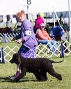 20171001-conf-0121