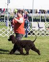 20171001-conf-0127