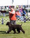 20171001-conf-0129