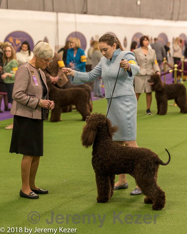 20180213-0179.jpg