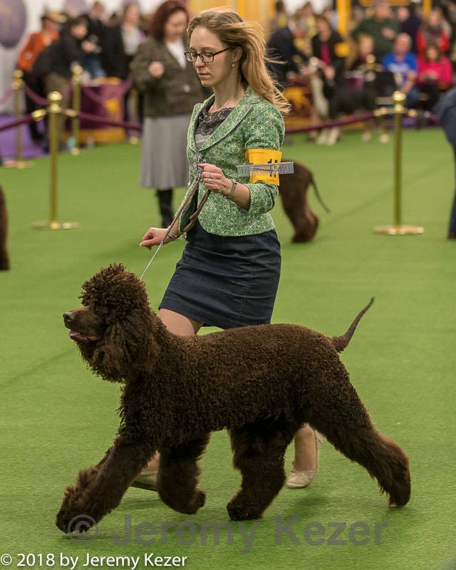 20180213-0272.jpg