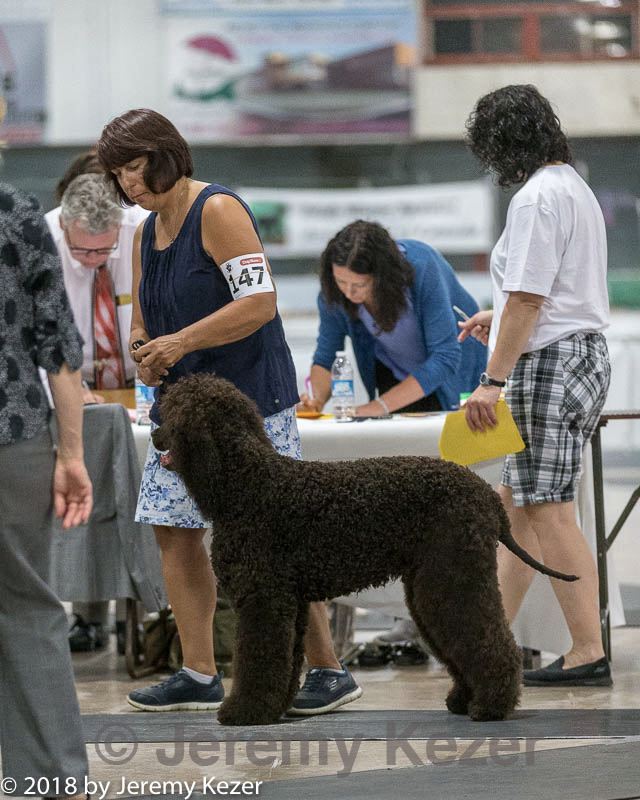 20180720-0017.jpg