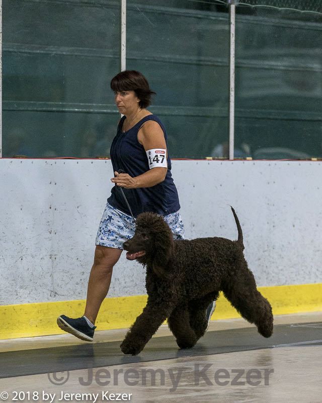 20180720-0021.jpg