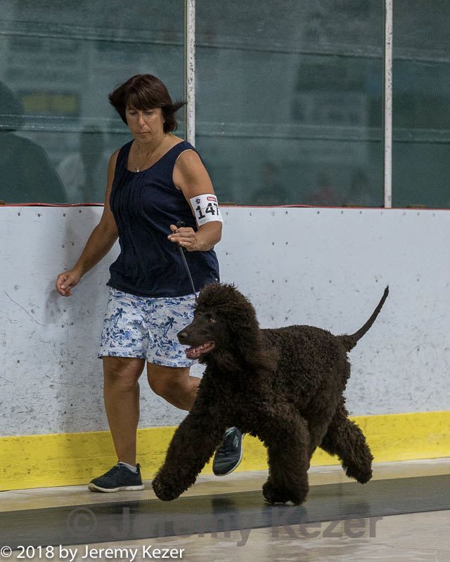 20180720-0025.jpg