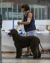 20180720-0057