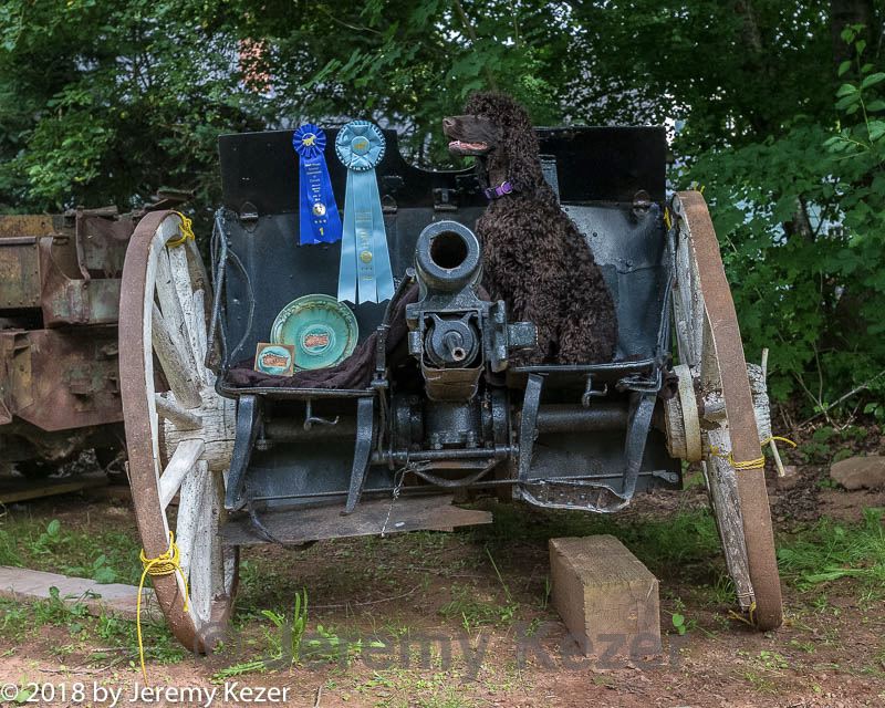 20180721-p-0002.jpg