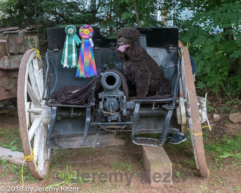 20180721-p-0007.jpg