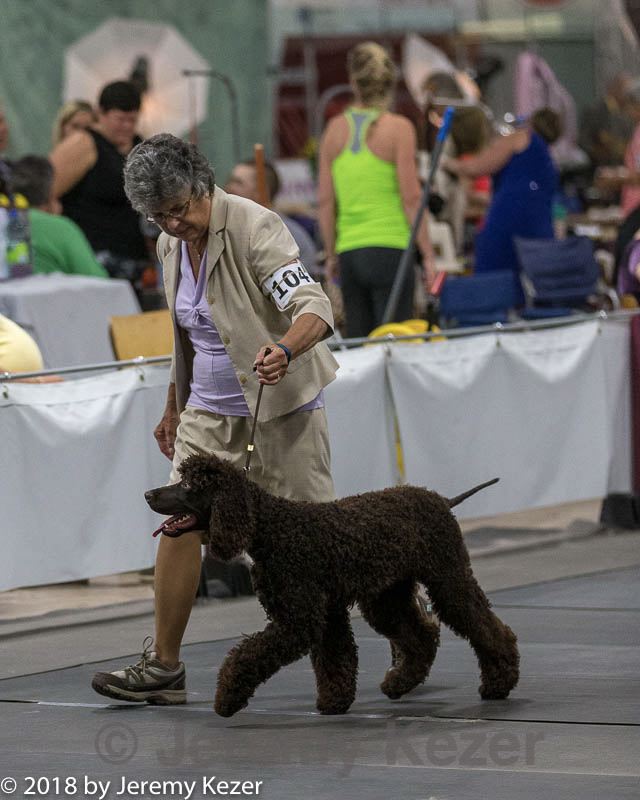 20180721-0366.jpg