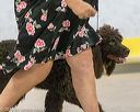20180722-0755