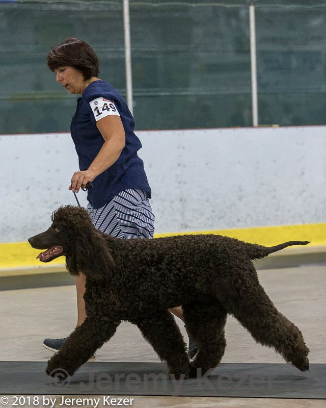 20180722-0687.jpg