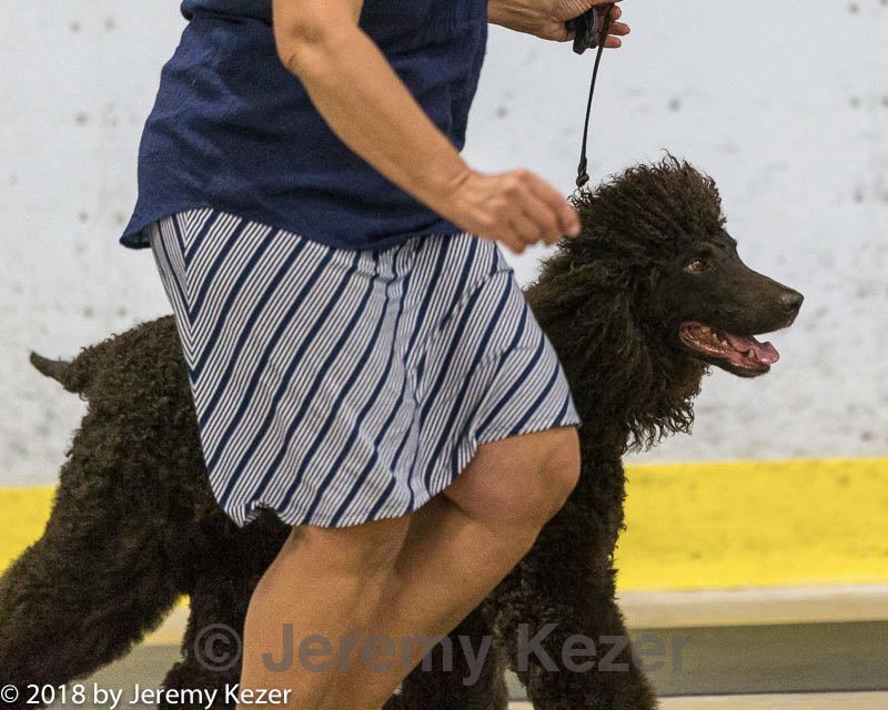 20180722-0695.jpg
