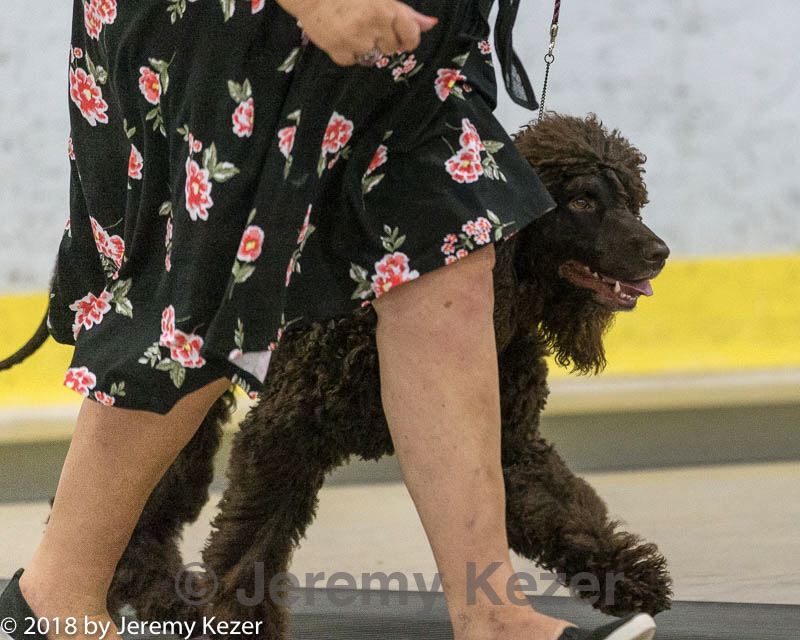 20180722-0753.jpg