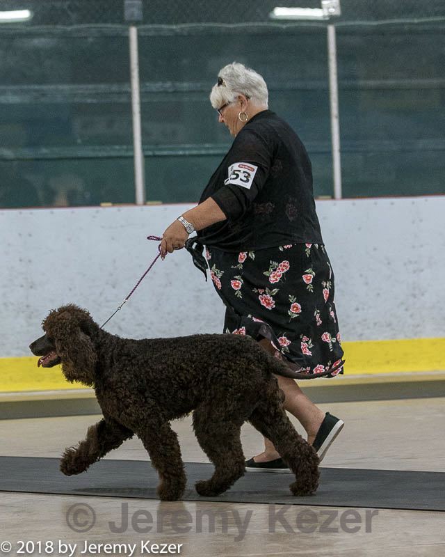 20180722-0633.jpg