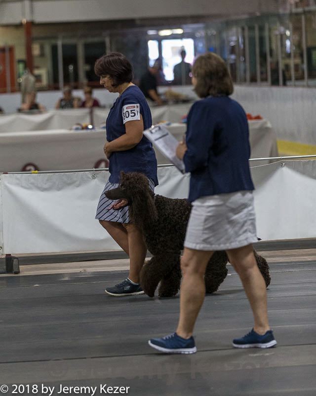 20180722-0801.jpg
