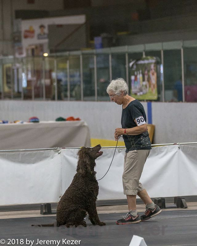 20180722-0769.jpg