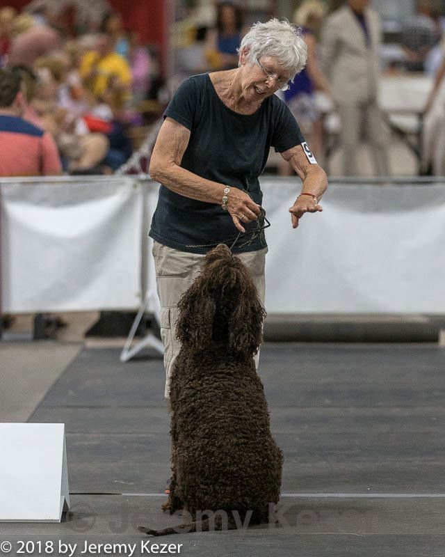20180722-0777.jpg