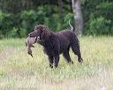 20180723-wcl-0045