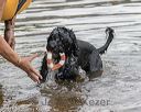 20180818-awd-0034