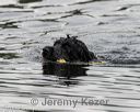 20180818-awd-0051