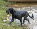 20180818-awd-0062