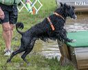 20180818-awd-0143
