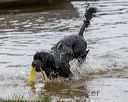 20180818-awd-0188