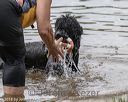 20180818-awd-0201