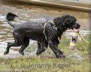20180818-awd-0224