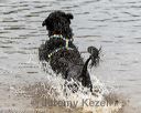 20180818-awd-0254