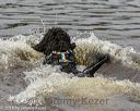 20180818-awd-0264