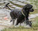 20180818-awd-0280