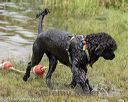 20180818-awd-0287