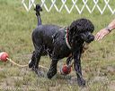 20180818-awd-0294