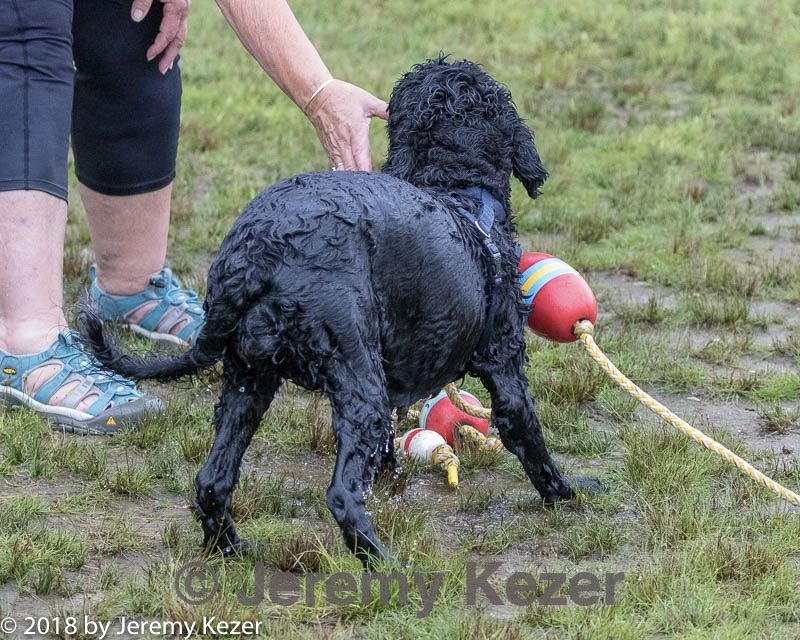 20180818-awd-0121.jpg