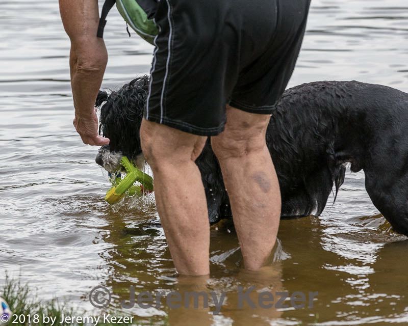 20180818-awd-0134.jpg