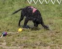 20180818-cwd-0035